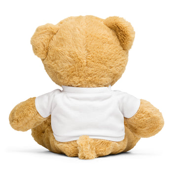 Teddy bear with a t-shirt